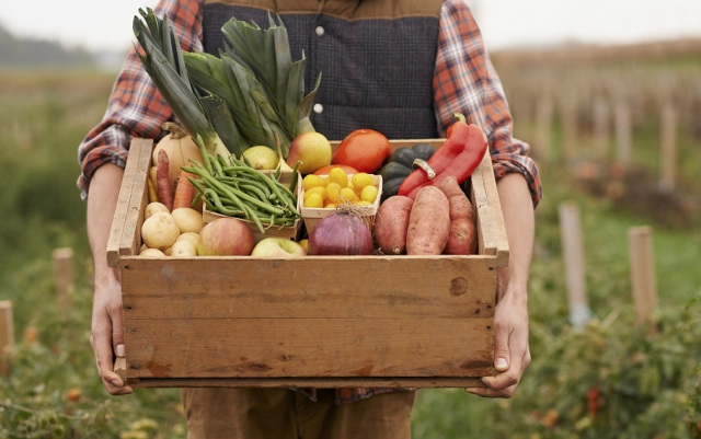Harvest Box