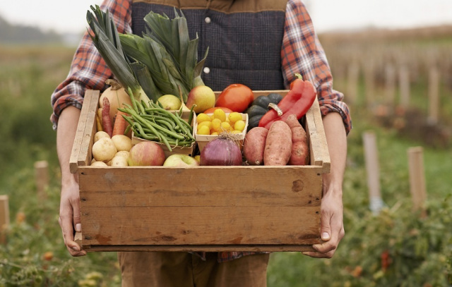 Harvest Box